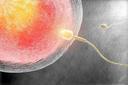 卵巢性闭经可以做试管婴儿吗？ 卵巢性闭经可以做试管婴儿吗？