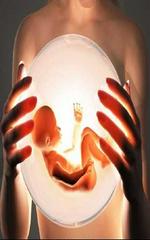 人工受精和试管婴儿到底有什么区别？