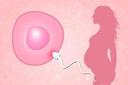 备孕期间男性也要检查激素六项吗?