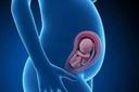 孕妇感冒咳嗽对胎儿的影响及处理