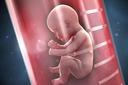 是什么原因导致怀孕期间封闭抗体呈阴性？
