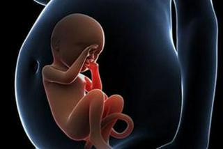 俄罗斯试管婴儿周期中的胚胎或囊胚冷冻有伤害么